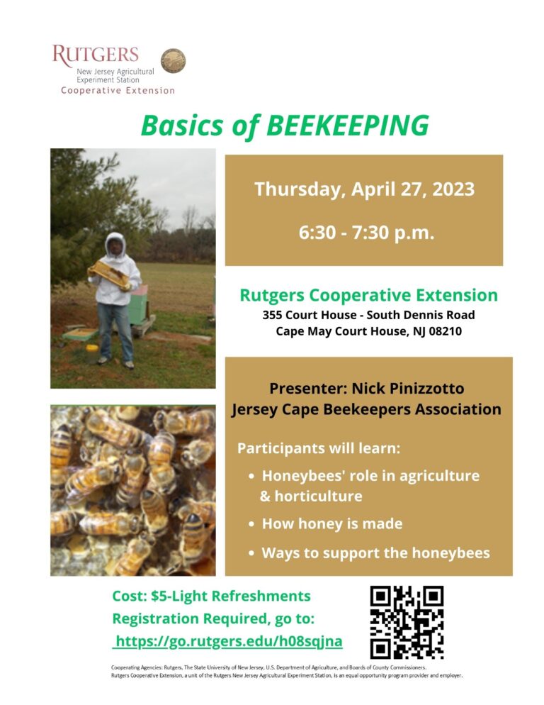 Basics Of Beekeeping Rutgers Cooperative Extension Of Cape May County